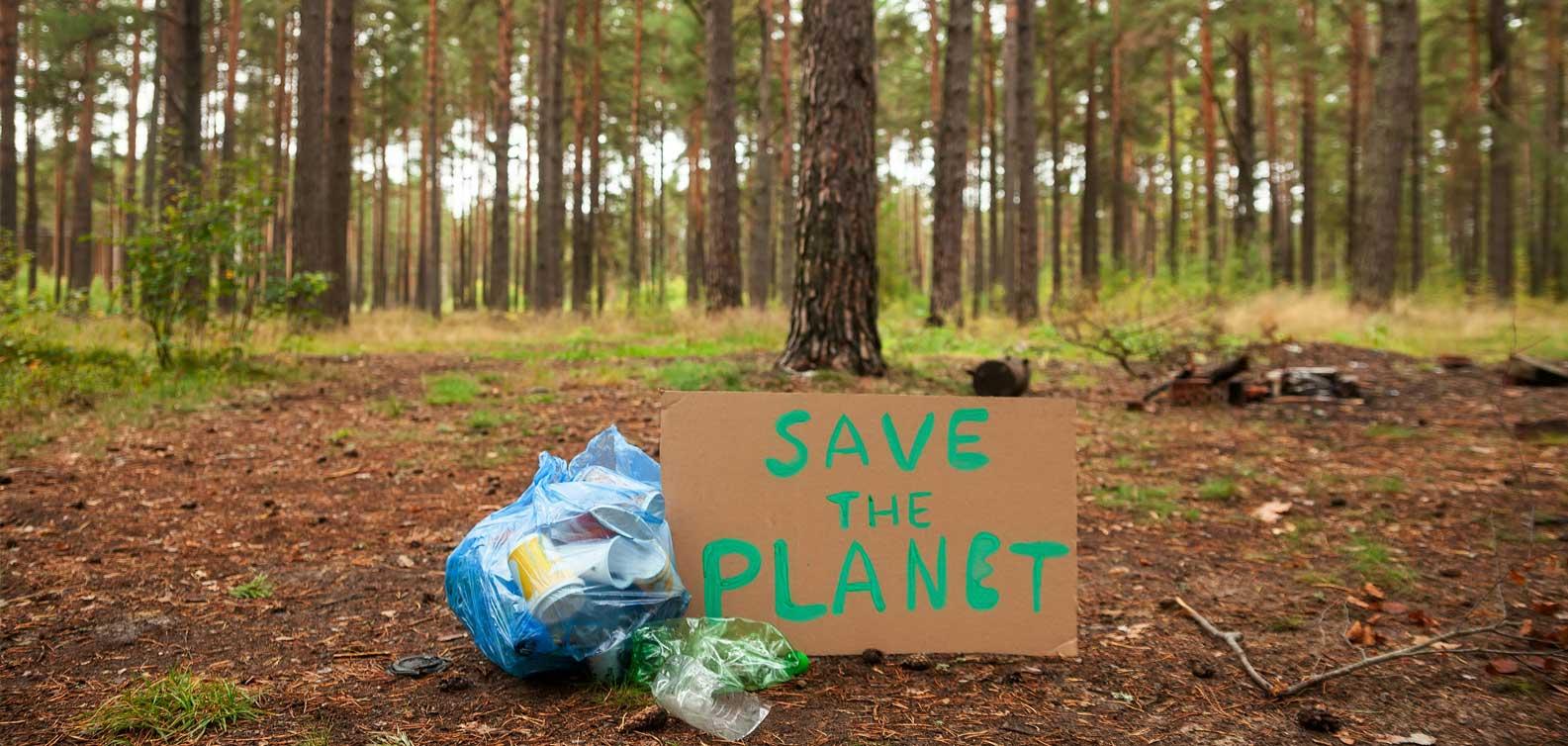 World Environment Day 2025